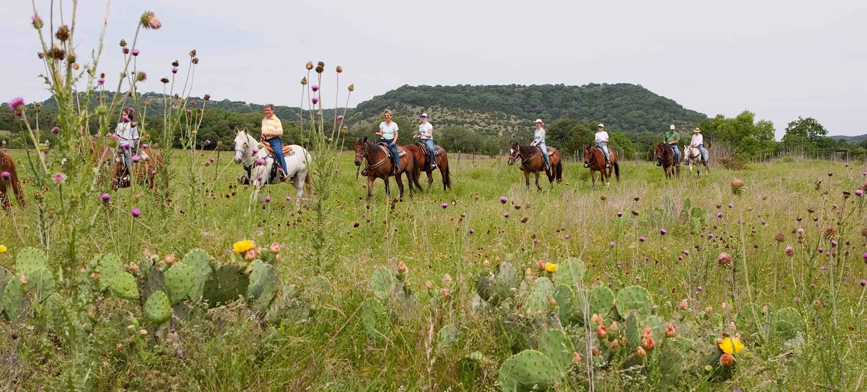 Hill Country State Natural Area